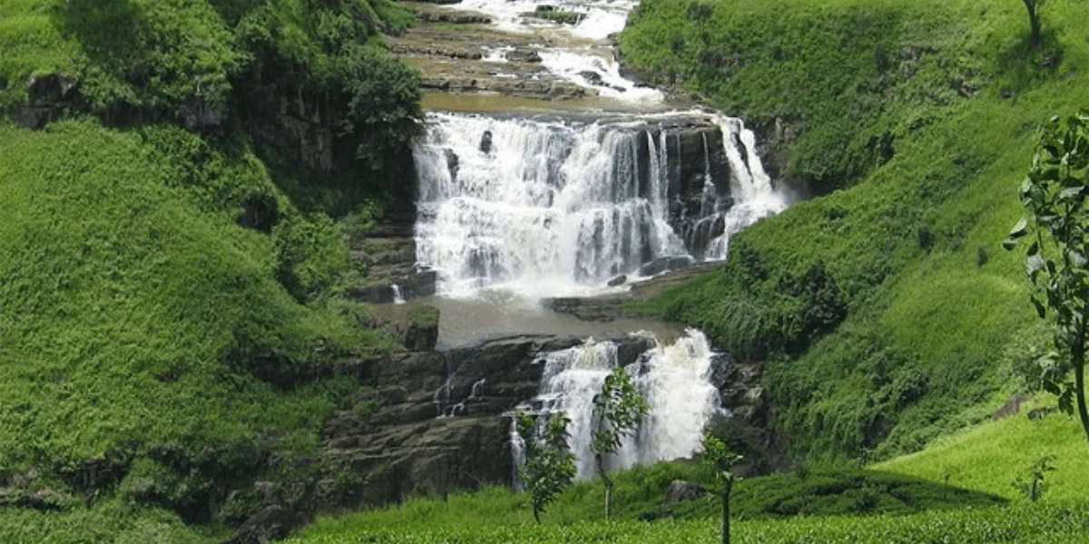 Sri Lanka 4-min.webp